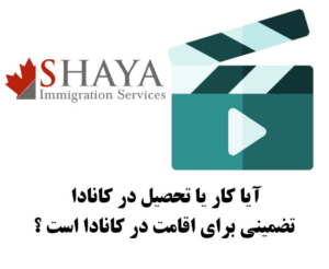 shaya8v